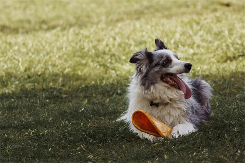 Honda's Next-Gen Hybrids: 2027 V-6 Models & New Platforms